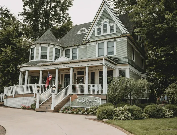 Ginkgo Tree Inn hotel detail image 1