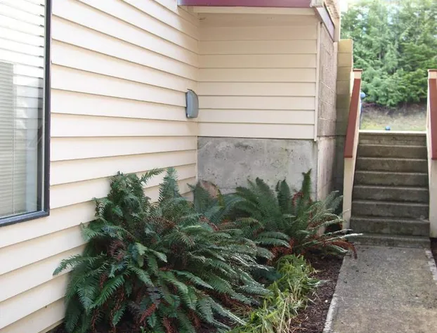 Whale's Tail Guest Suites hotel detail image 3