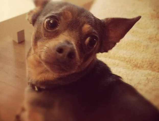 Days Inn by Wyndham Berthierville hotel detail image 2