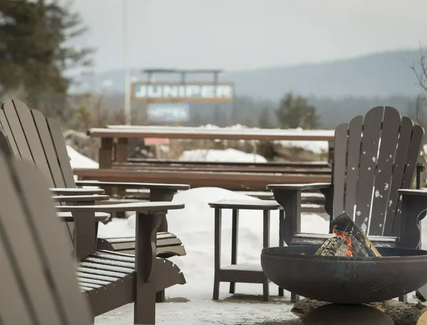 The Juniper Hotel hotel detail image 4