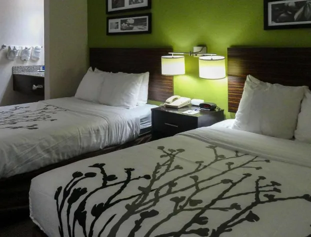 Sleep Inn & Suites Columbus - State University Area hotel detail image 3