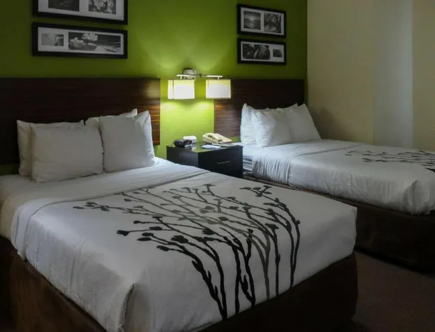 Sleep Inn & Suites Columbus - State University Area hotel detail image 4