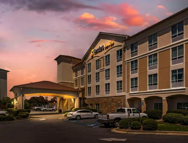Comfort Suites Valdosta Mall Area hotel detail image 3
