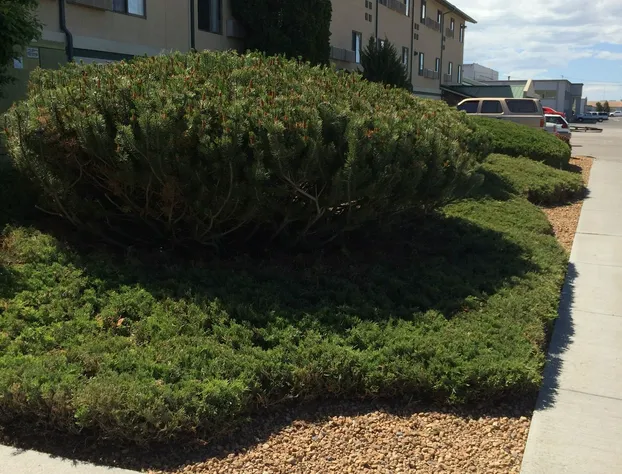 Super 8 by Wyndham Idaho Falls hotel detail image 1