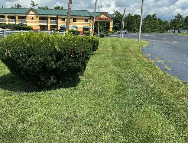 Econo Lodge Berea hotel detail image 4