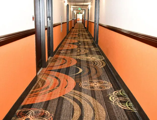 Regency Inn & Suites hotel detail image 3
