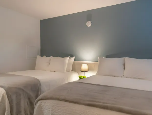 Moultonborough Inn hotel detail image 3