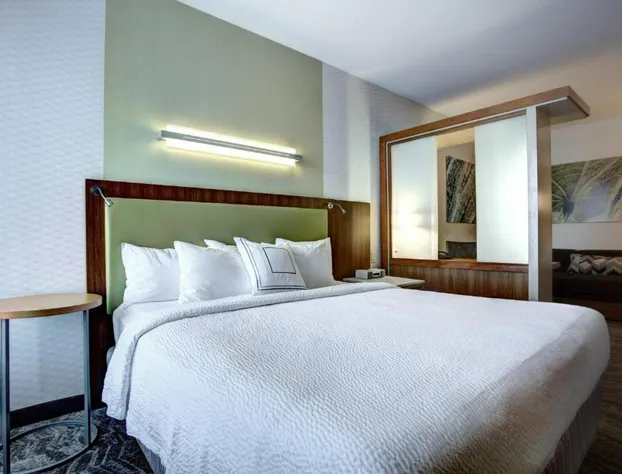 SpringHill Suites by Marriott Harrisburg Hershey hotel detail image 3