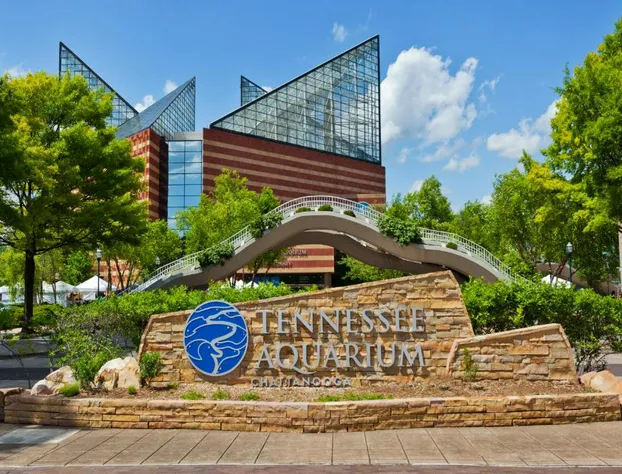 Super 8 by Wyndham Chattanooga Lookout Mountain TN hotel detail image 2