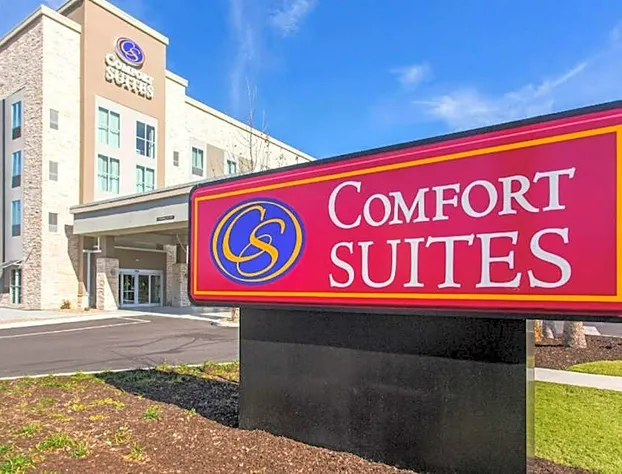 Comfort Suites North Charleston - Ashley Phosphate hotel detail image 4