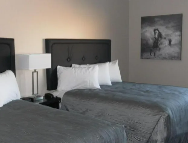 Stampeder Inn hotel detail image 4