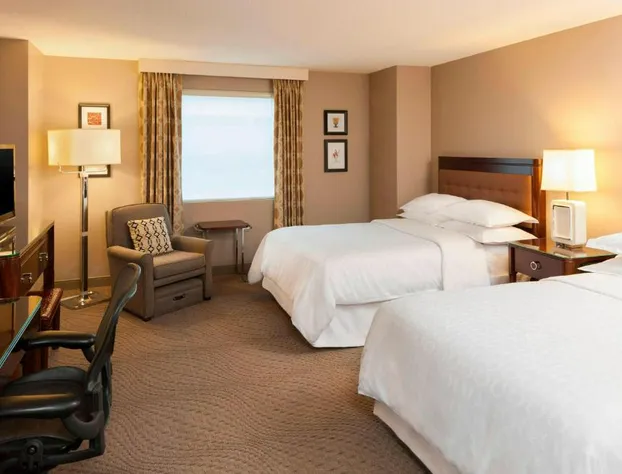 Sheraton Metairie - New Orleans Hotel hotel detail image 4