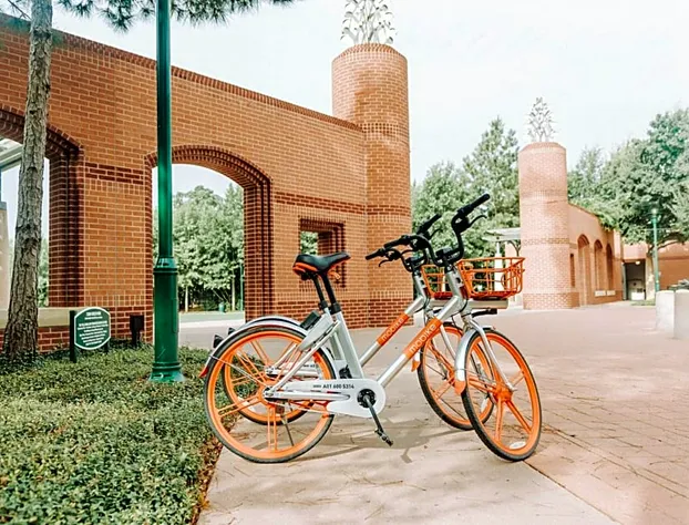 Hyatt Centric The Woodlands hotel detail image 2