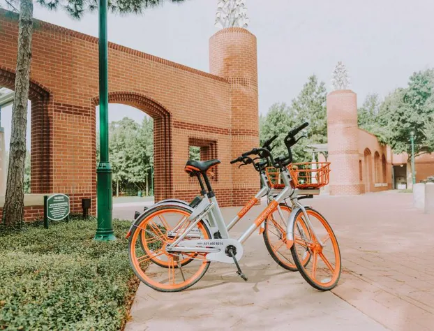 Hyatt Centric The Woodlands hotel detail image 2