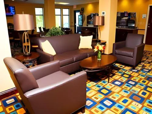 Holiday Inn Express & Suites Youngstown West - Austintown by IHG hotel detail image 3