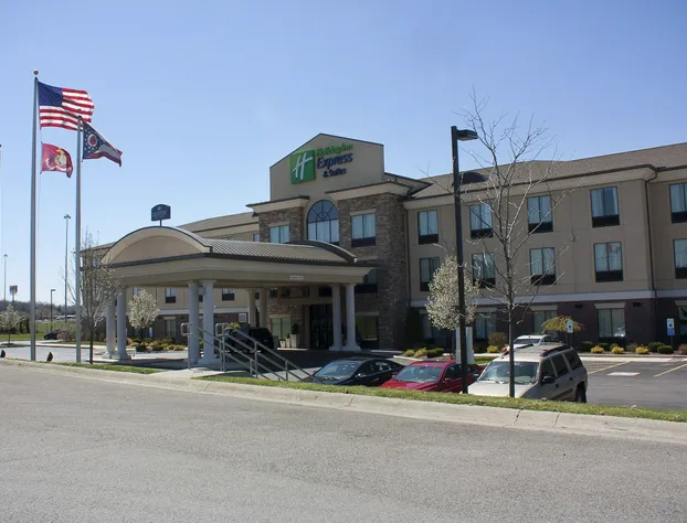 Holiday Inn Express & Suites Youngstown West - Austintown by IHG hotel detail image 1