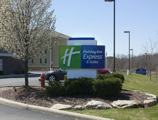 Holiday Inn Express & Suites Youngstown West - Austintown by IHG hotel detail image 3