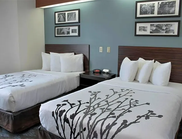 Sleep Inn Lake Wright - Norfolk Airport hotel detail image 3