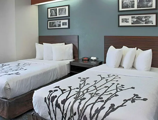 Sleep Inn Lake Wright - Norfolk Airport hotel detail image 4