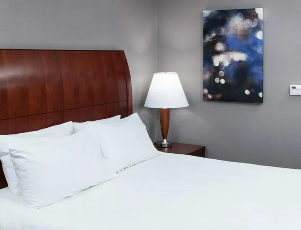 Hilton Garden Inn Naperville/Warrenville hotel detail image 2