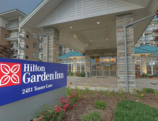 Hilton Garden Inn Pigeon Forge hotel detail image 2