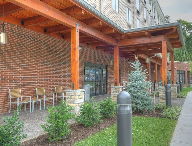 Hilton Garden Inn Pigeon Forge hotel detail image 3