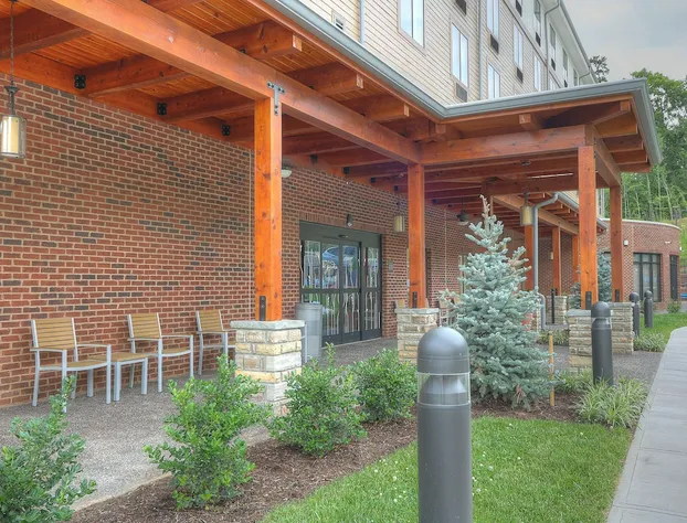 Hilton Garden Inn Pigeon Forge hotel detail image 3