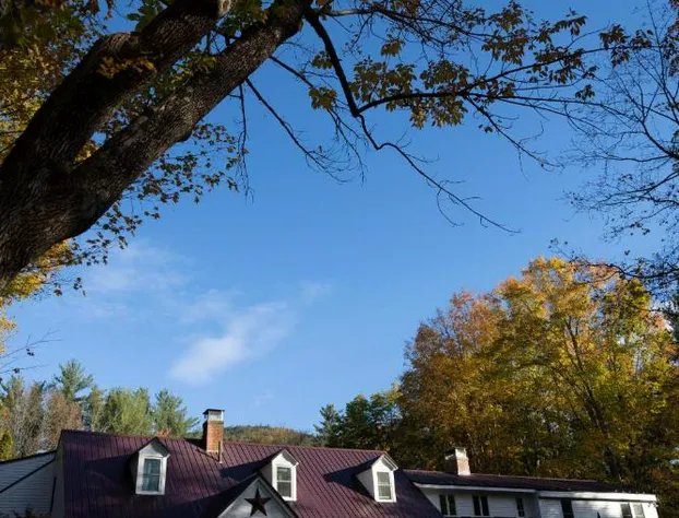 The Buttonwood Inn on Mt. Surprise hotel detail image 1