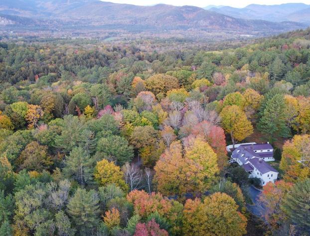 The Buttonwood Inn on Mt. Surprise hotel detail image 1