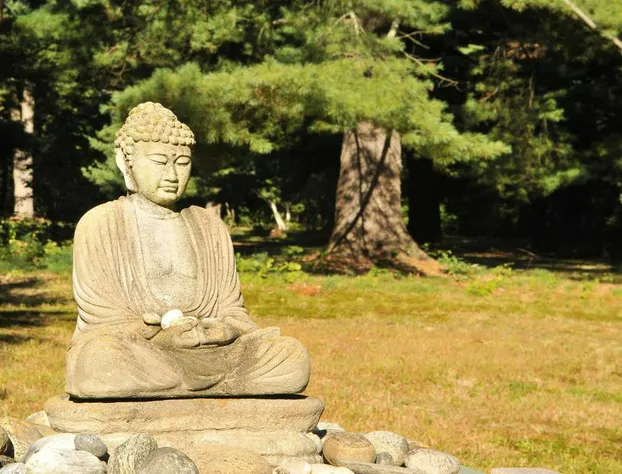 Bass Manor Bed and Breakfast & Art Museum hotel detail image 2