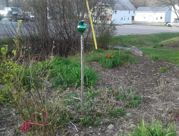 B&B Art of Germany hotel detail image 2