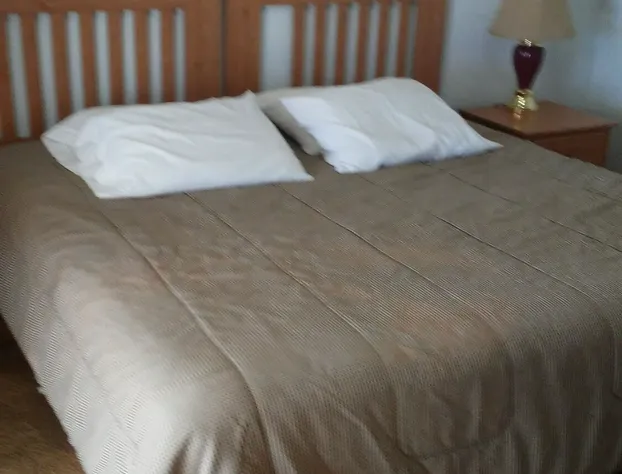 American Star Inn hotel detail image 3