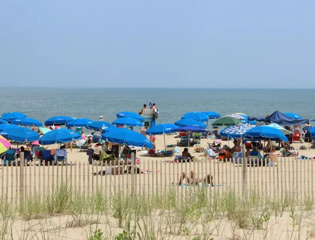 Oceanus Motel hotel detail image 1