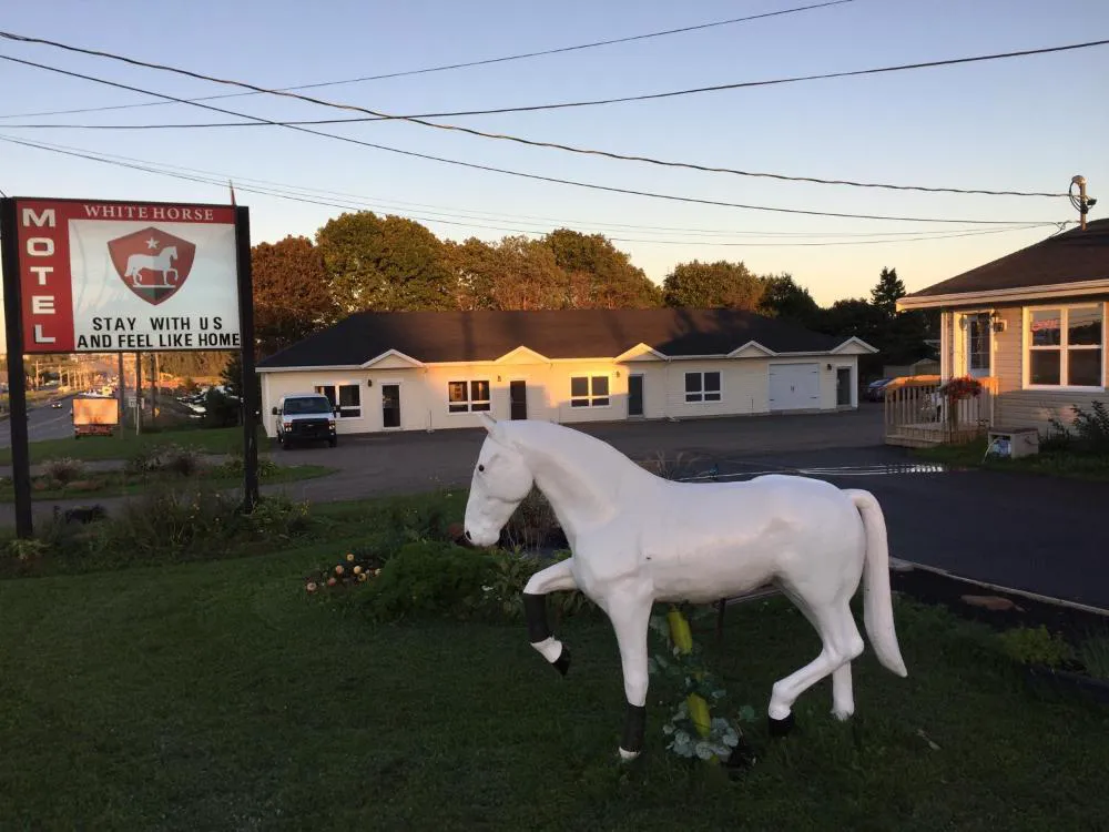 The White Horse Motel hotel hero