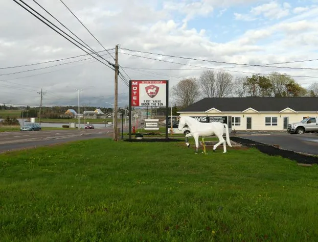 The White Horse Motel hotel detail image 4