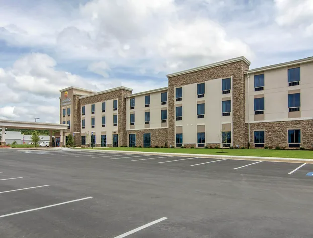 Comfort Inn & Suites hotel detail image 1