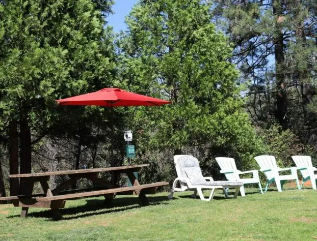 Brownsville Motel hotel detail image 1