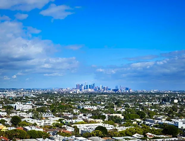 1 Hotel West Hollywood hotel detail image 3