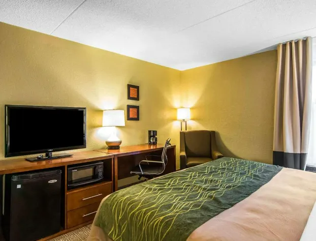 Quality Inn hotel detail image 3