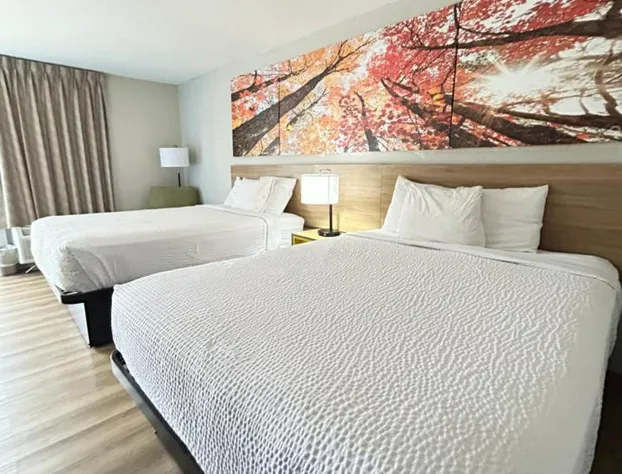 Days Inn by Wyndham Lake Park/Valdosta hotel detail image 3