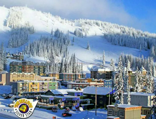 The Bulldog Hotel Silver Star hotel detail image 2