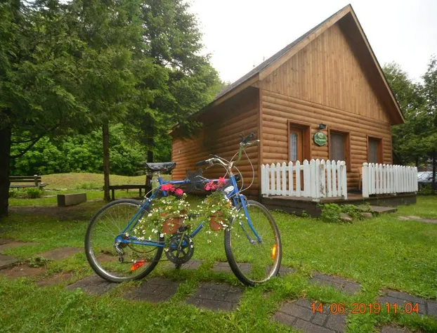 Auberge Alpine Inn hotel detail image 3