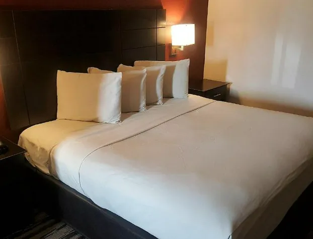 Red Roof Inn & Suites Houston - Humble/IAH Airport hotel detail image 3