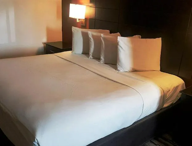 Red Roof Inn & Suites Houston - Humble/IAH Airport hotel detail image 4