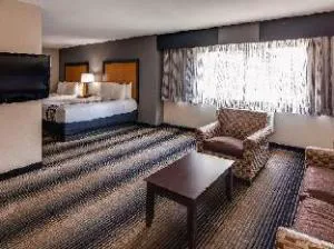 Best Western Plus Hyde Park Chicago Hotel hotel detail image 3