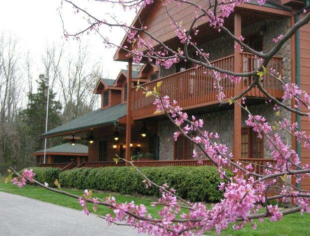 Berry Springs Lodge hotel detail image 2