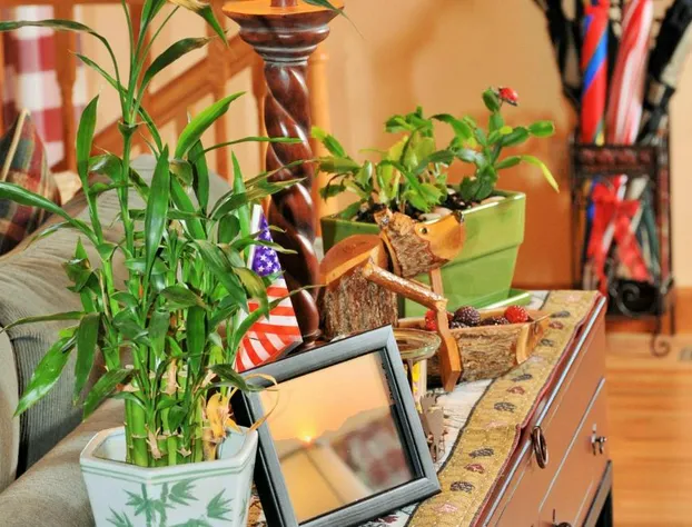 Berry Springs Lodge hotel detail image 4