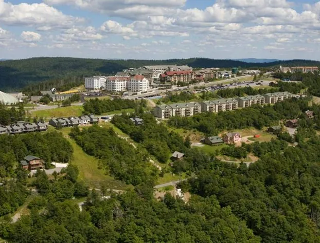 Seneca hotel detail image 4