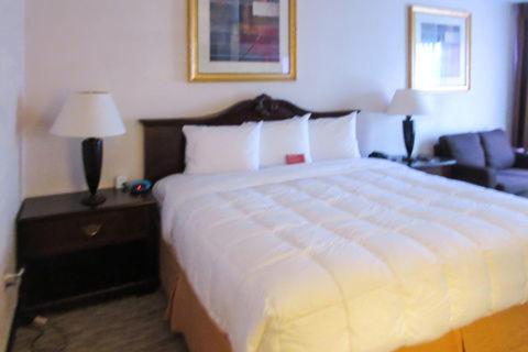 Econo Lodge Sulphur Springs I-30 hotel detail image 3