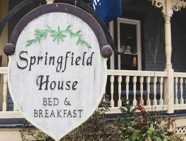 Springfield House B&B hotel detail image 2